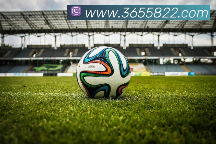 bet365官网APP 封面图